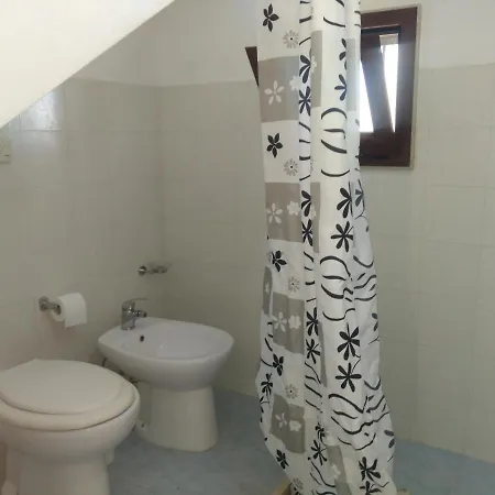 Orchidea Sant Isidoro (Apulia)