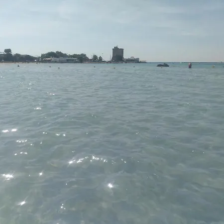 Orchidea Sant Isidoro (Apulia)