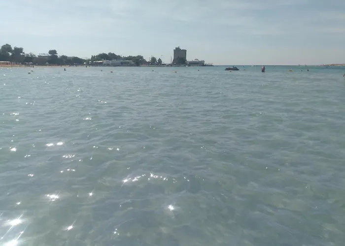 Orchidea סנט'איזידורו